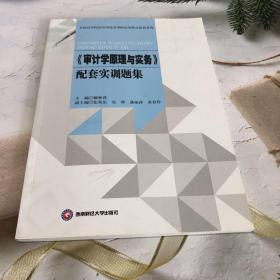 審計(jì)學(xué)原理與實(shí)務(wù)配套實(shí)訓(xùn)題集/全國(guó)高等院校應(yīng)用技術(shù)型財(cái)會(huì)類(lèi)精品教材系列