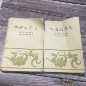 中国文学史 二 三