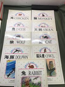 动物日记 17本合售（狗 熊猫 狮子 象 虎 马 企鹅 狐狸 鸡 猴 鹿 天鹅 狼 猫 海豚 猫头鹰 兔）中英双语对照