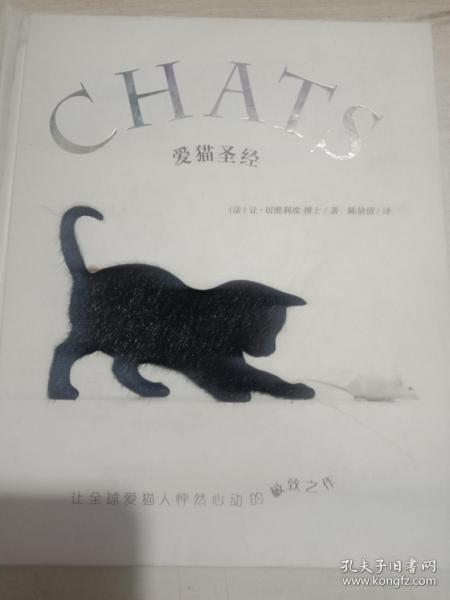 爱猫圣经