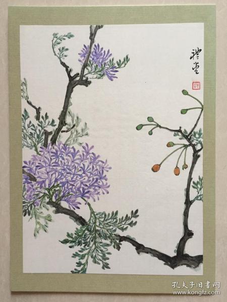 梁基永《岭南草木状》插画精制件之楝花 岁末特价出