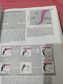 HEART DISEASE A Textbook of Cardiovascular Medicine 5TH EDITION 心血管医学教材第五版