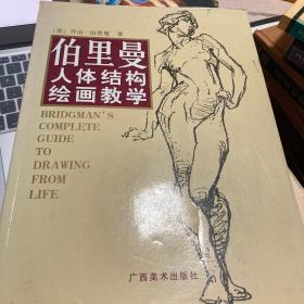 伯里曼人体结构绘画教学