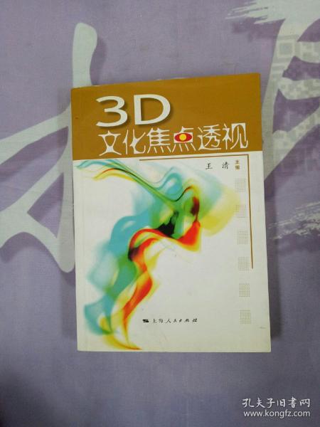 3D文化焦点透视