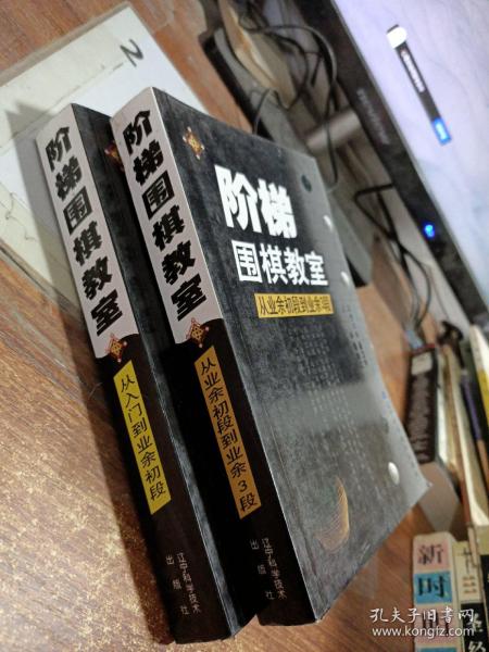 阶梯围棋教室:从业余初段到业余3段 从入门到业余，两本合售