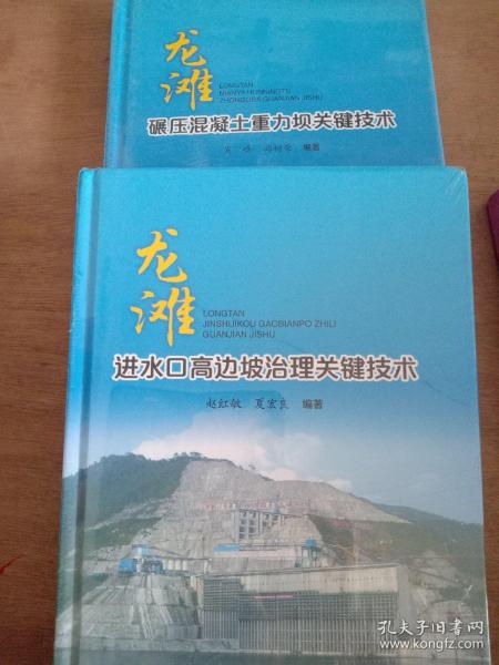 龙滩进水口高边坡治理关键技术