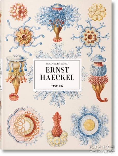 The Art And Science Of Ernst Haeckel