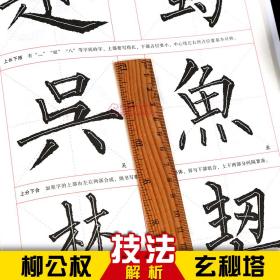 学海轩共2本柳公权玄秘塔碑历代碑帖杜浩书法等级考试培训教材施志伟柳体楷书毛笔字帖书法临摹书籍安徽美术出版社华夏万卷