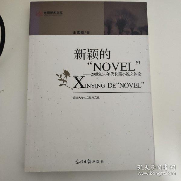 新颖的“NOVEL“：20世纪90年度长篇小说文体论