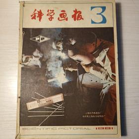 科学画报1981年合订本3.4.5.6.7.8.11.12