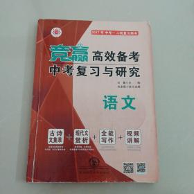 语文高效备考中考复习与研究