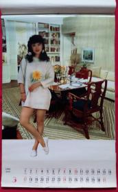 原版挂历1991年雅居乐 塑料12全 美女居室摄影艺术