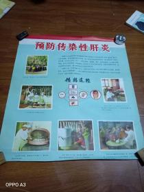预防传染性肝炎挂图一张（长58宽53）