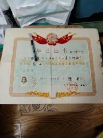 1956年 著名画家谢世莲 毕业证书（有照片 有毛主席头像）