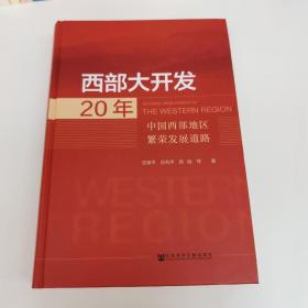 西部大开发20年