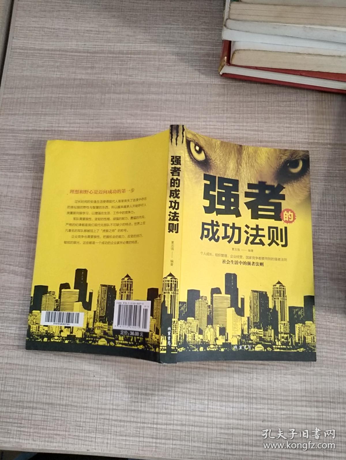 强者的成功法则