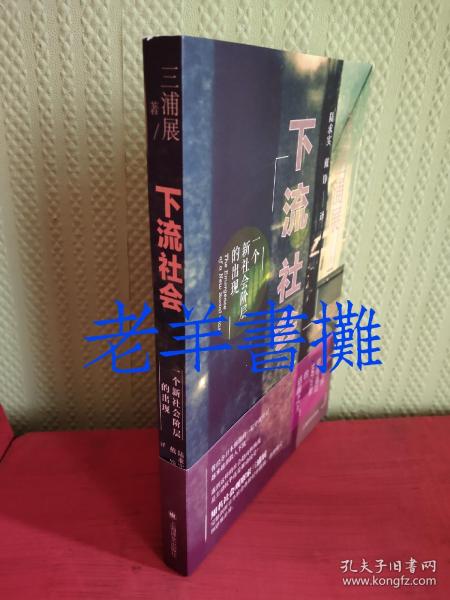 下流社会：一个新社会阶层的出现