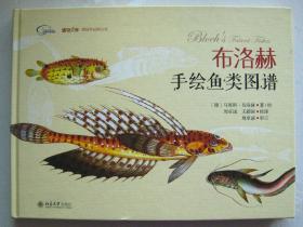 布洛赫手绘鱼类图谱（博物文库·博物学经典丛书）