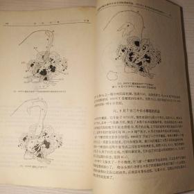 天文学报1974年15卷2期