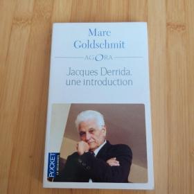 Marc Goldschmidt  / Jacques Derrida : Une introduction 《德里达导言》 法文原版