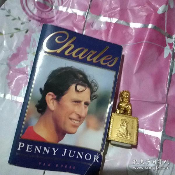 PENNY JUNOR