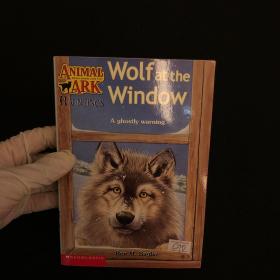 WolfattheWindow动物方舟系列：窗外的狼