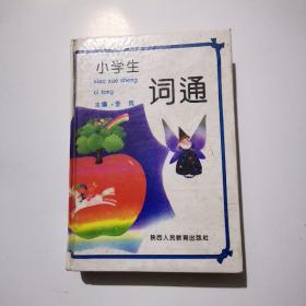 小学生词通