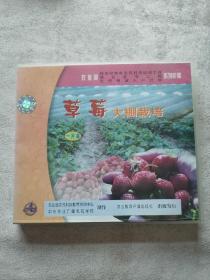 草莓大棚栽培VCD