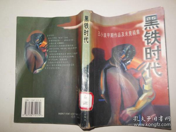 黑铁时代：王小波早期作品及未竟稿集