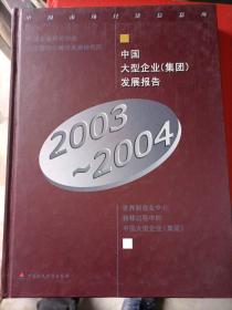 中国大型企业（集团）发展报告2003-2004