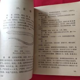 广西药用动物—林吕何编著（1976年一版一印，前有毛主席语录，内有125种动物药的炮制应用加工用量及辨别，内页干净无勾划，请看实拍图）