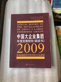 中国大企业集团年度发展报告（紫皮书）：全球金融危机中的中国大企业集团