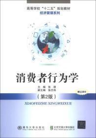 消费者行为学（第2版）/高等学校“十二五”规划教材·经济管理系列