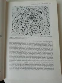 Pathologic Basis of Renal Disease..