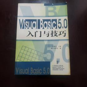 Visual Basic 5.0入门与技巧
