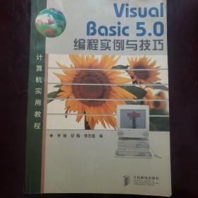 Visual Basic 5.0编程实例与技巧