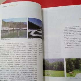 诗意地栖居：慕尼黑城市笔记
