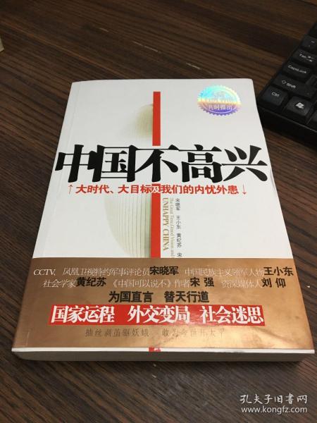 中国不高兴：大时代大目标及我们的内忧外患