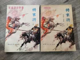 评书类书籍：旧书 刘兰芳 杨家将 上下两册全