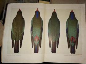 TEMMINCKIA A JOURNAL OF SYSTEMATIC ZOOLOGY SPECIMEN COPY OF VOLUME I 《特明基亚系统动物学杂志》第一卷标本副本