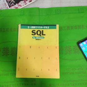 一周掌握 一週间でマスターする SQLfor Windows豊崎直也[著]附光盘 日文原版