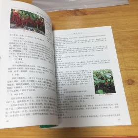 湖南农作物生态种植技术