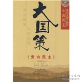 大国策：通向大国之路的中国民主-党内民主（请阅详细描述、小16开320页）