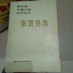 张贤亮集