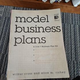 model   business   plans