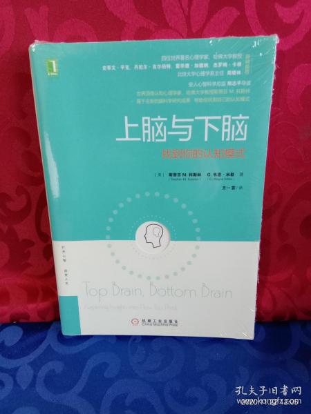 上脑与下脑：找到你的认知模式：世界顶级认知心理学家、哈佛大学教授基于全新的脑科学研究成果，帮助你找到自己的认知模式