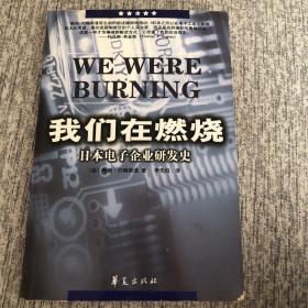 我们在燃烧：日本电子企业研发史