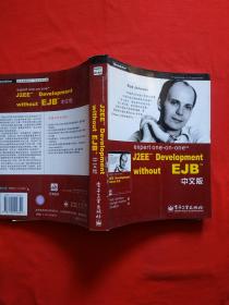 expert one-on-one J2EE Development without EJB 中文版