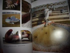 李亿勳马赛克镶嵌作品集 2000-2009--李亿勳签名本