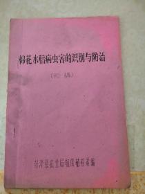 棉花水稻病虫害的识别与防治（初稿）